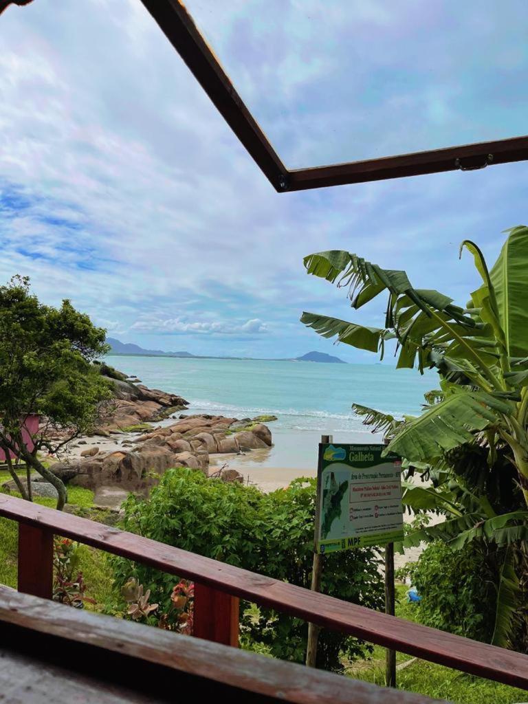 Monalisa Florianópolis
